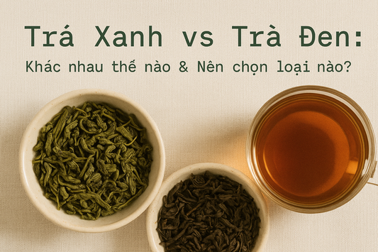 Trà Xanh vs Trà Đen: Khác nhau thế nào & Nên chọn loại nào?