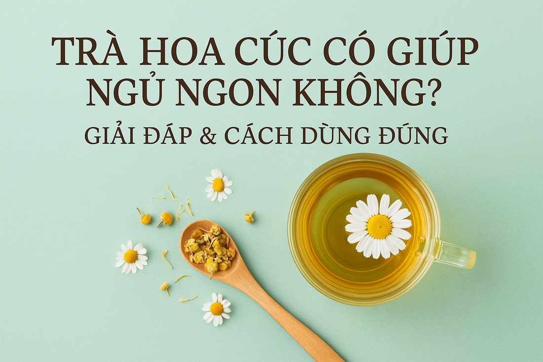 Trà Hoa Cúc Có Giúp Ngủ Ngon Không? Giải Đáp & Cách Dùng Đúng