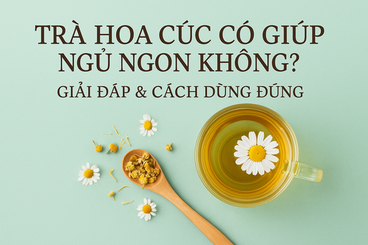 Trà Hoa Cúc Có Giúp Ngủ Ngon Không? Giải Đáp & Cách Dùng Đúng