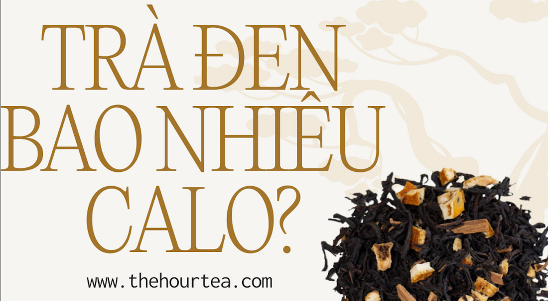 Trà đen bao nhiêu calo? Uống có béo không?