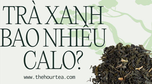 Trà xanh bao nhiêu calo? Uống nhiều có mập không?
