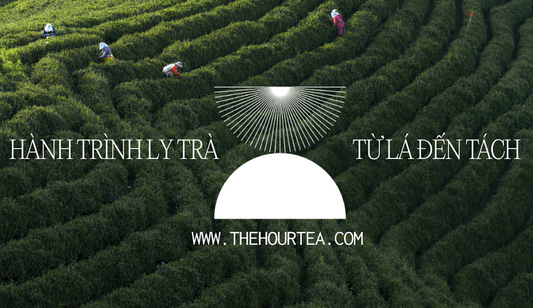 Hành trình ly trà – từ lá đến tách