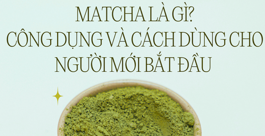 Matcha là gì? Công dụng & Hướng dẫn dùng cho người mới bắt đầu