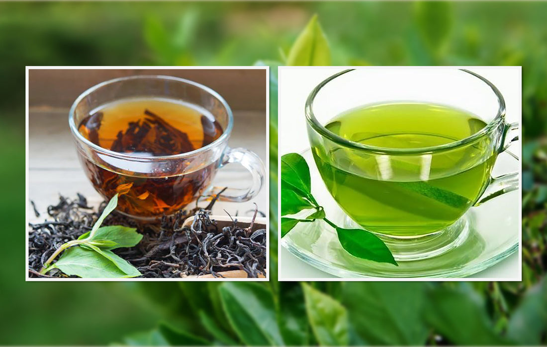 Trà đen và trà xanh, loại nào tốt cho sức khỏe hơn?