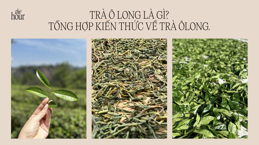 Trà Ô Long là gì