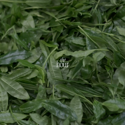 Trà Xanh Matcha Ceremonial Grade