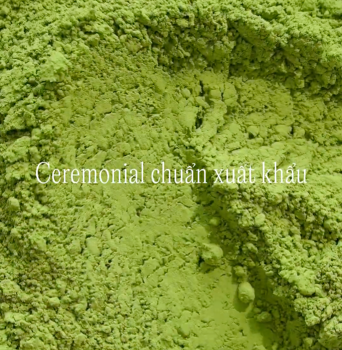 Trà Xanh Matcha Ceremonial Grade 50g