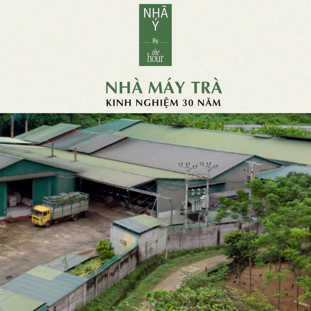 Trà Ôlong Thượng Hạng Nguyên Chất 200g Nhã Ý by The Hour giảm cân an toàn, ngủ ngon